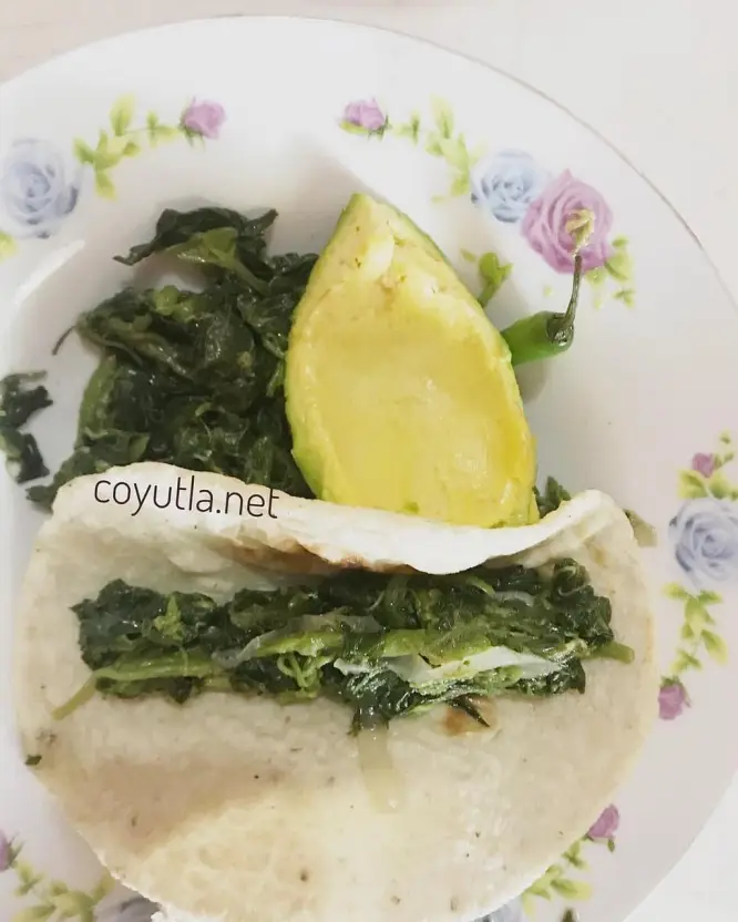 Gastronomía de Coyutla